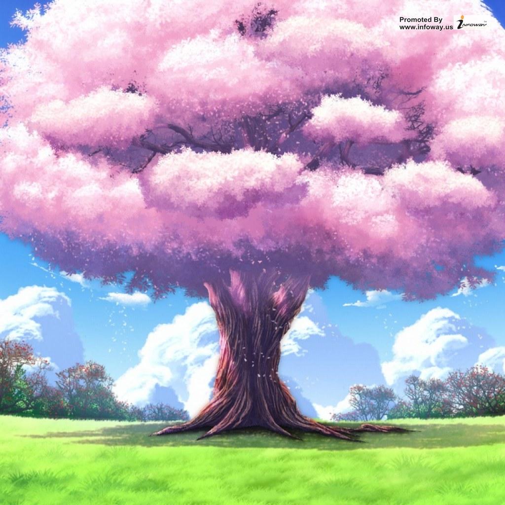 Pink Tree Wallpapers - Top Free Pink Tree Backgrounds - WallpaperAccess