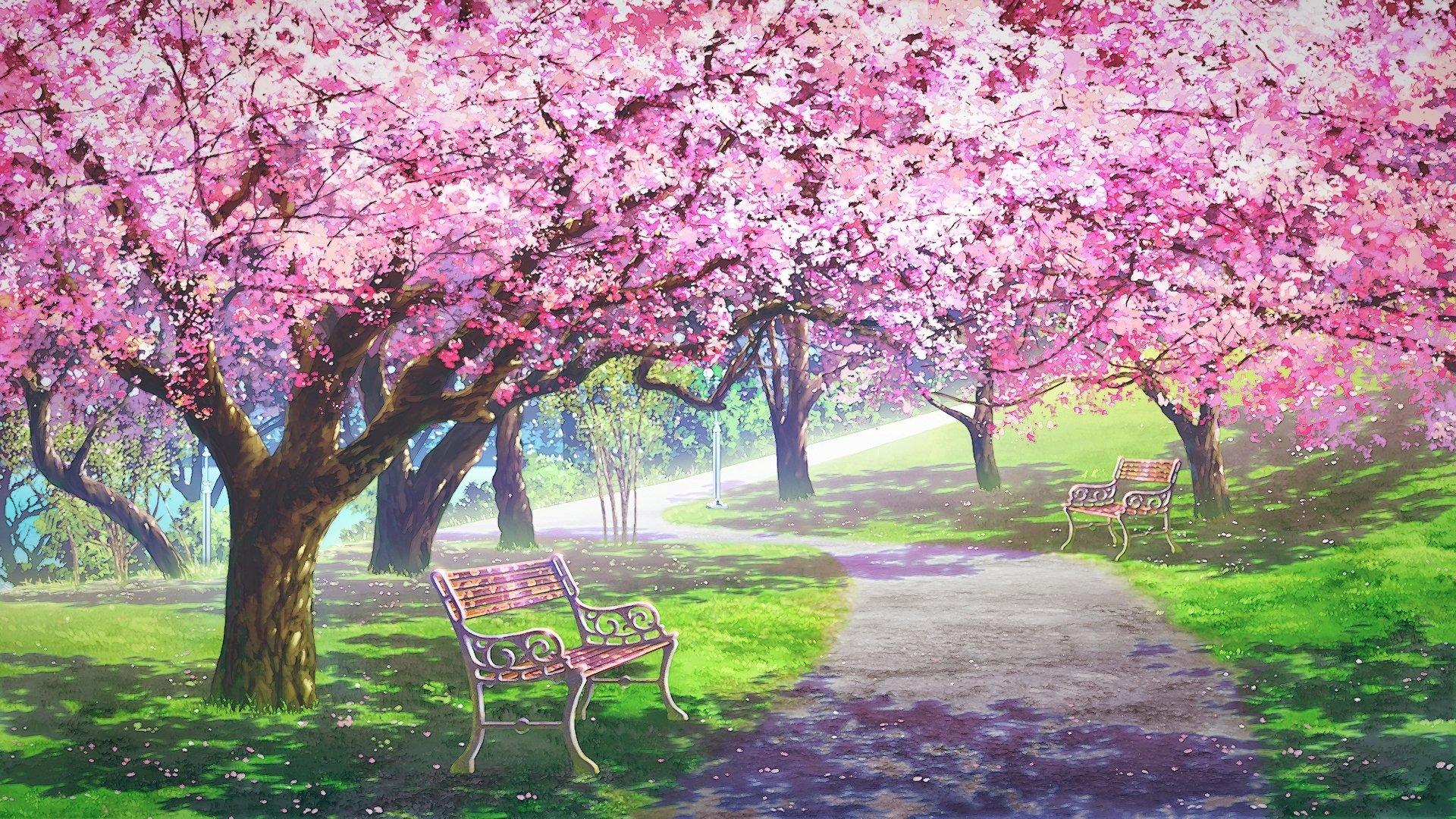 1920x1080 Sakura Path HD Anime Wallpaper
