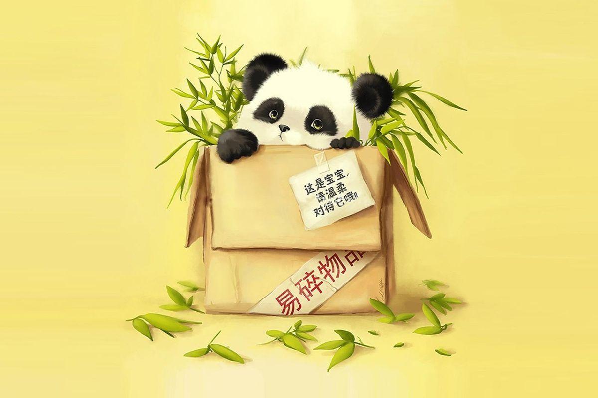 1200x800 Cute Cartoon Panda. Osito Panda, Caja, Caricatura, Cartoon