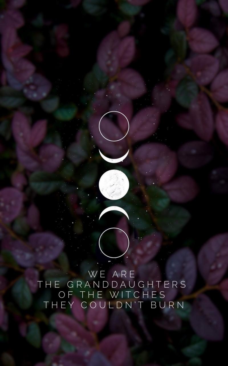 800x1280 Free download We are the granddaughters of the witches they couldnt burn [1158x2048] for your Desktop, Mobile & Tablet. Explore Witch Background. Witch Wallpaper, Winter Witch Wallpaper, Wicked Witch Wallpaper