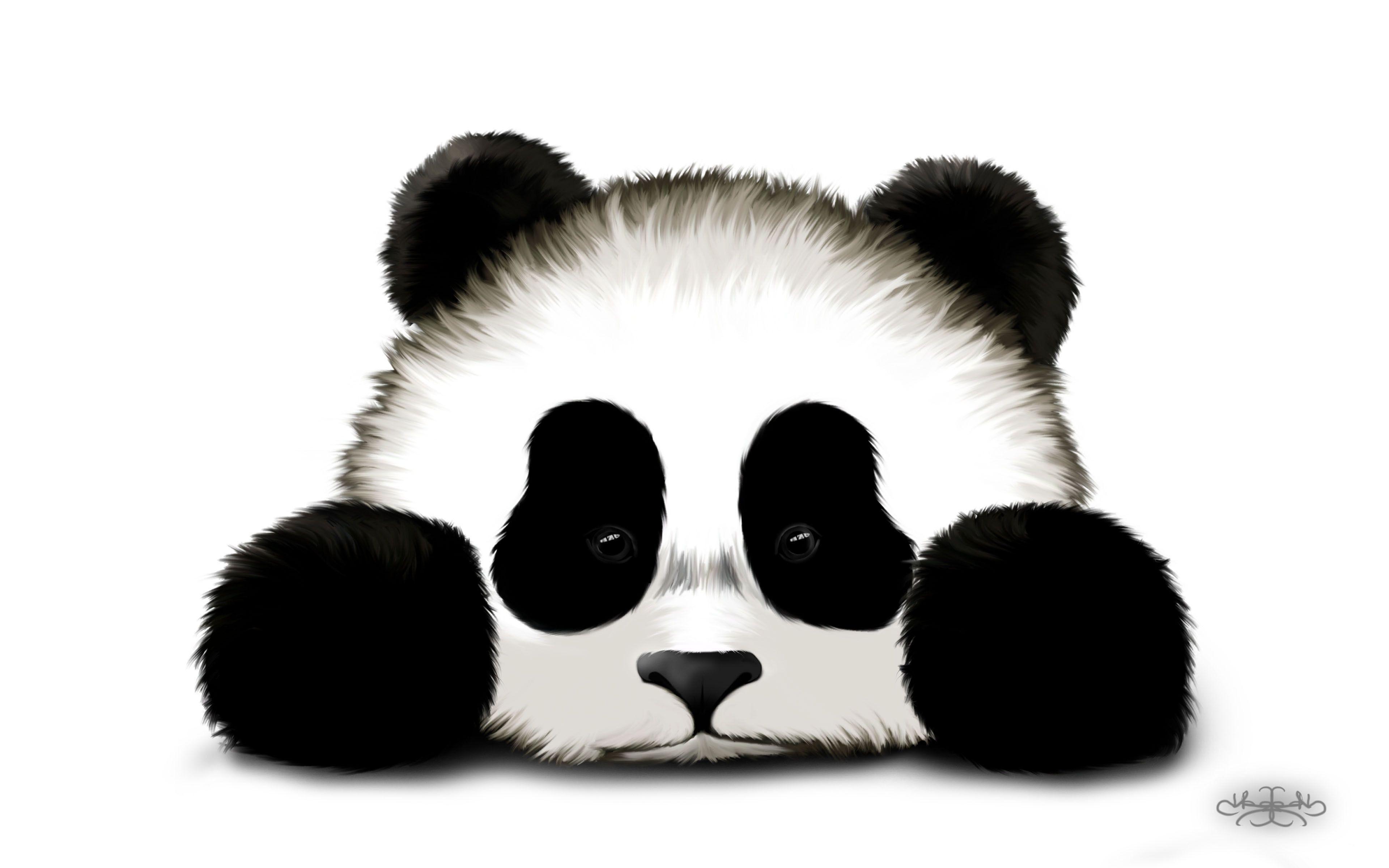 3840x2400 Drawn Panda christmas Clipart on