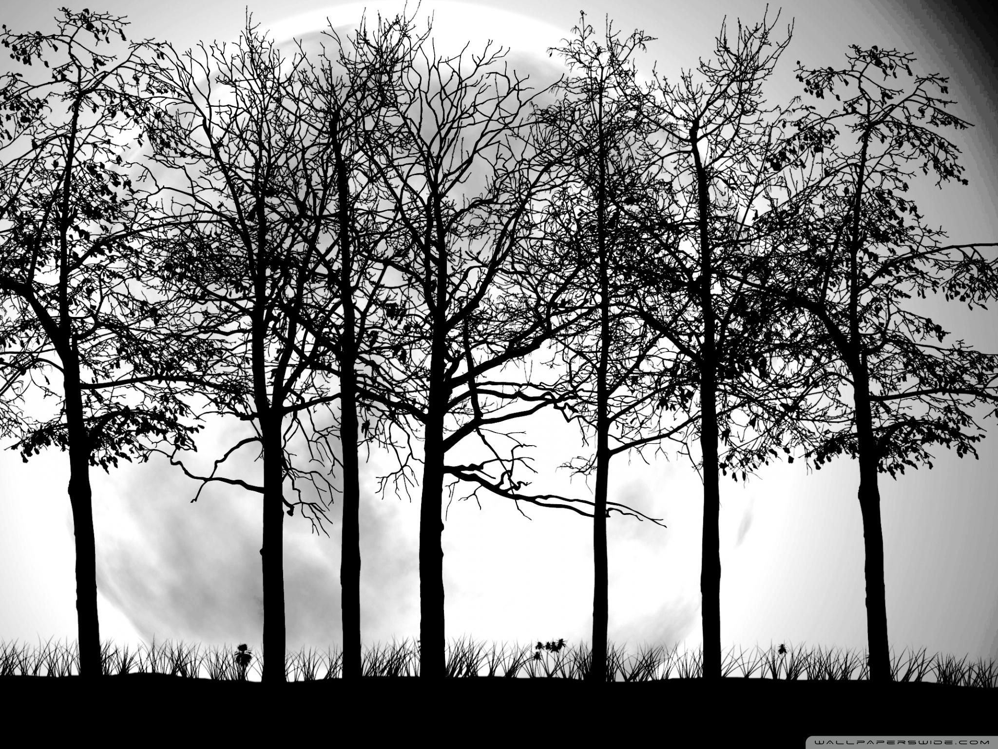 2048x1536 Tree Silhouette Wallpaper