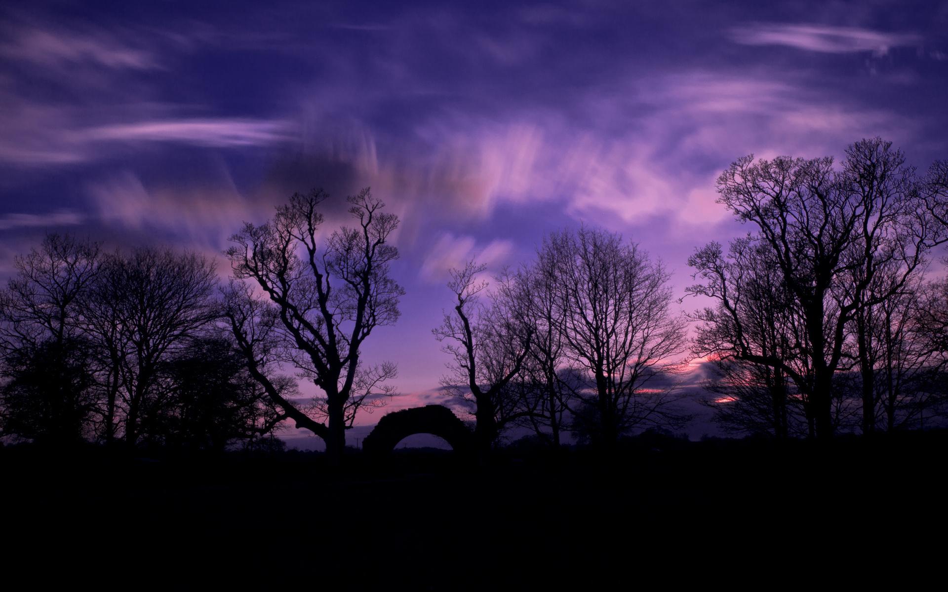 1920x1200 Tree Silhouette Wallpaper