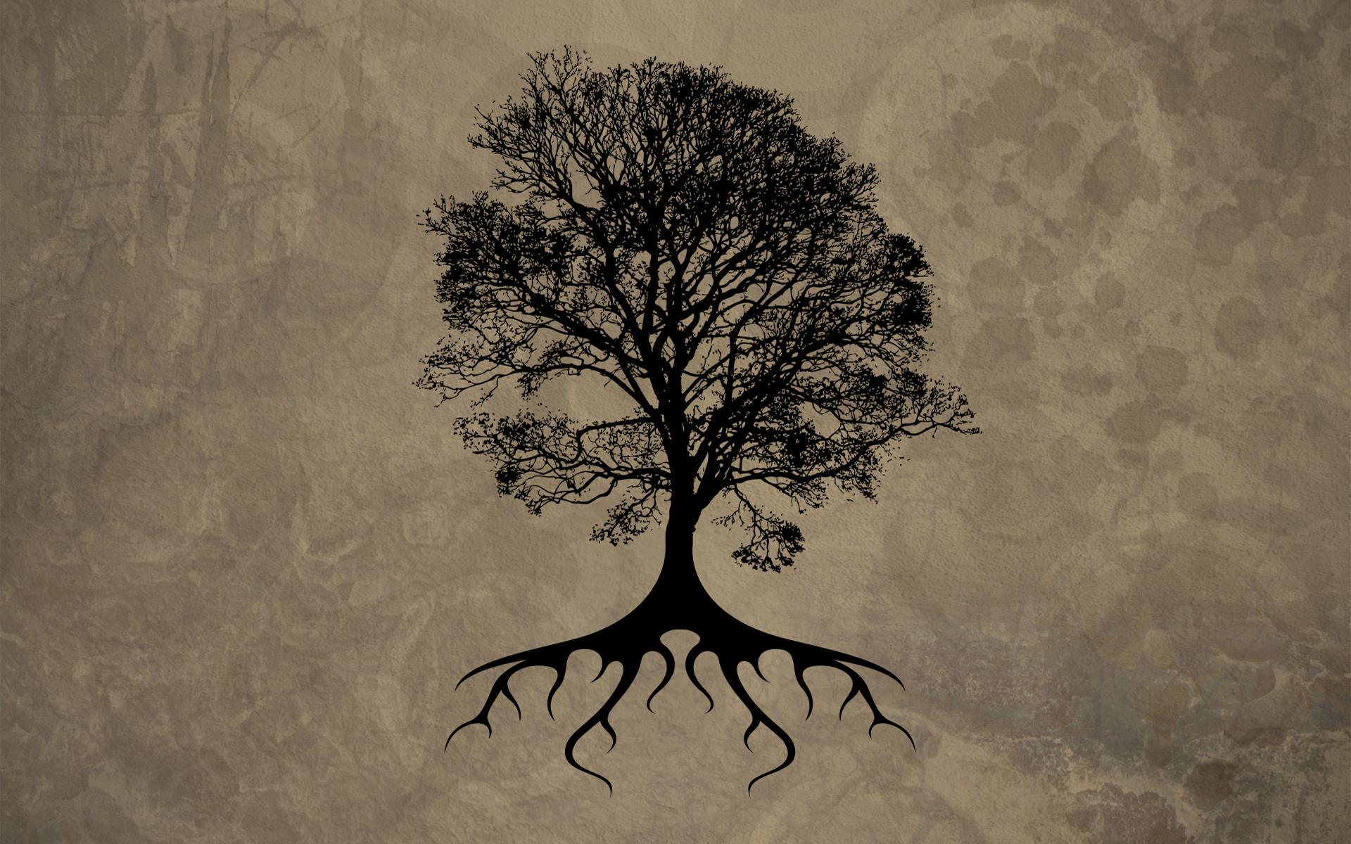 1920x1200 Free download Tree Drawing Dead Oak Tree Silhouette Oak Tree Tattoo Oak Tree [1920x1200] for your Desktop, Mobile & Tablet. Explore Tree Silhouette Wallpaper. Silhouette Wallpaper for Walls, White