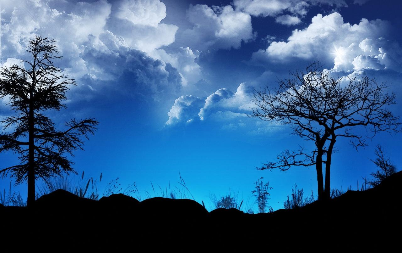 1280x804 Tree silhouettes wallpaper. Tree silhouettes