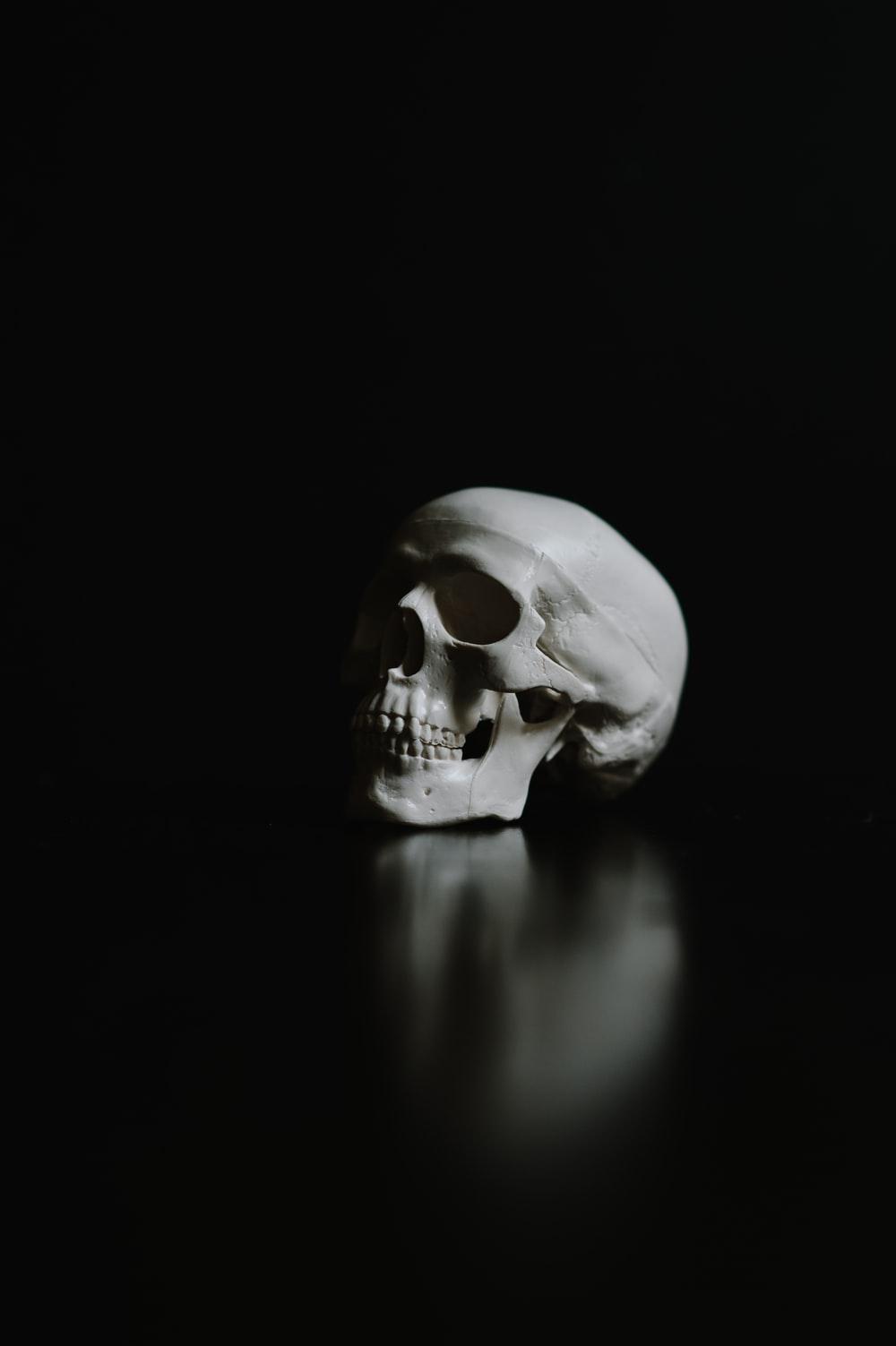 1000x1503 Skull Background Image: Download HD Background