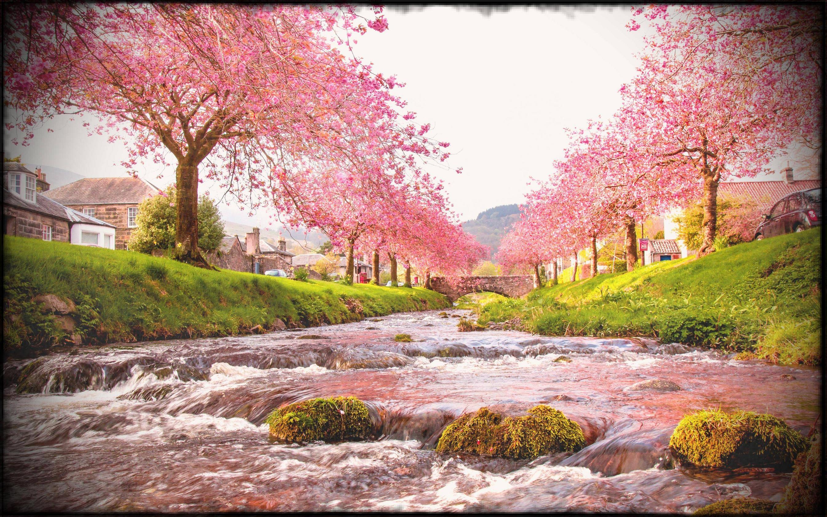 2688x1680 Japanese Nature Wallpaper