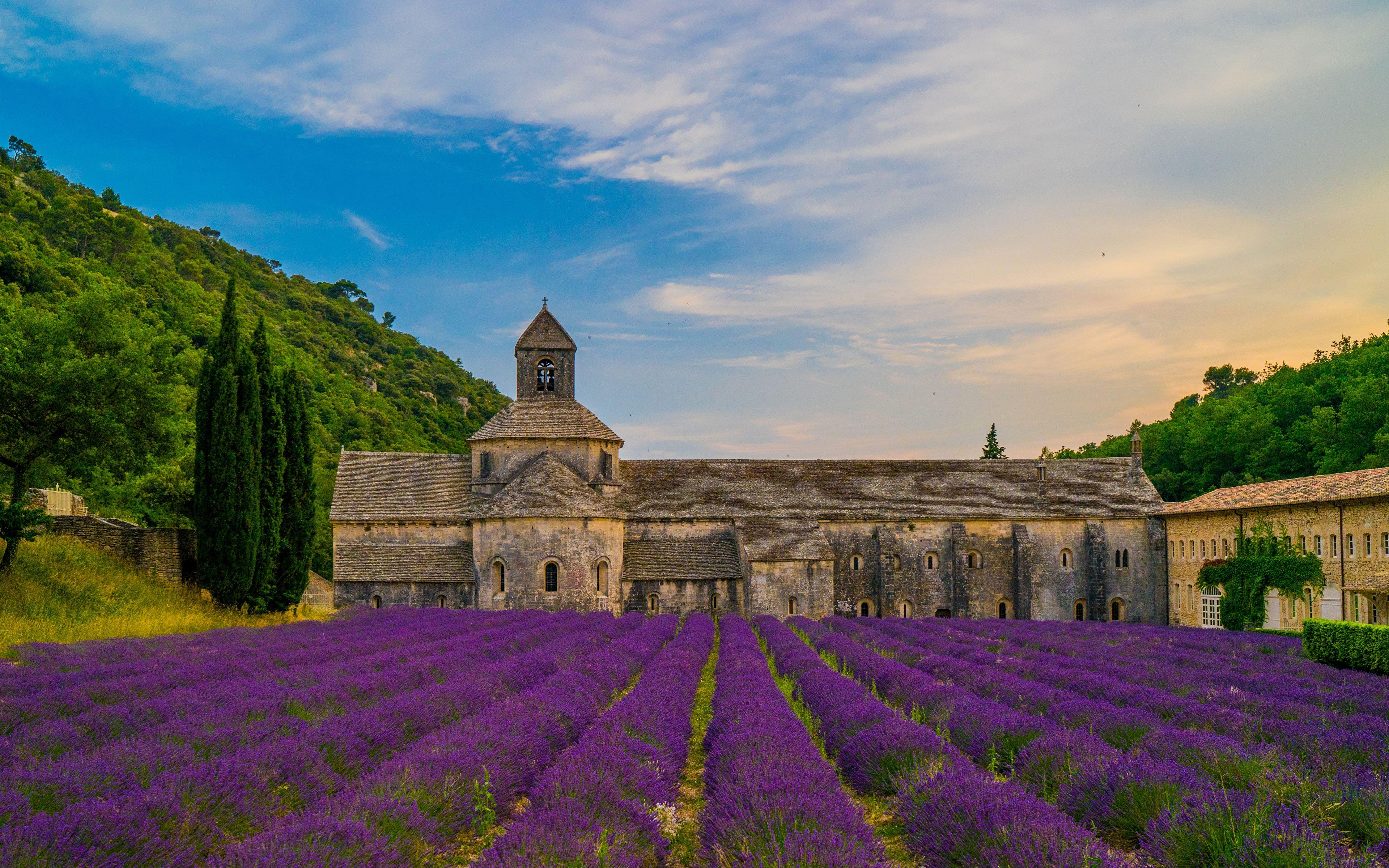 3840x2400 Wallpaper Monastery France Senanque Abbey Fields Lavandula 3840x2400