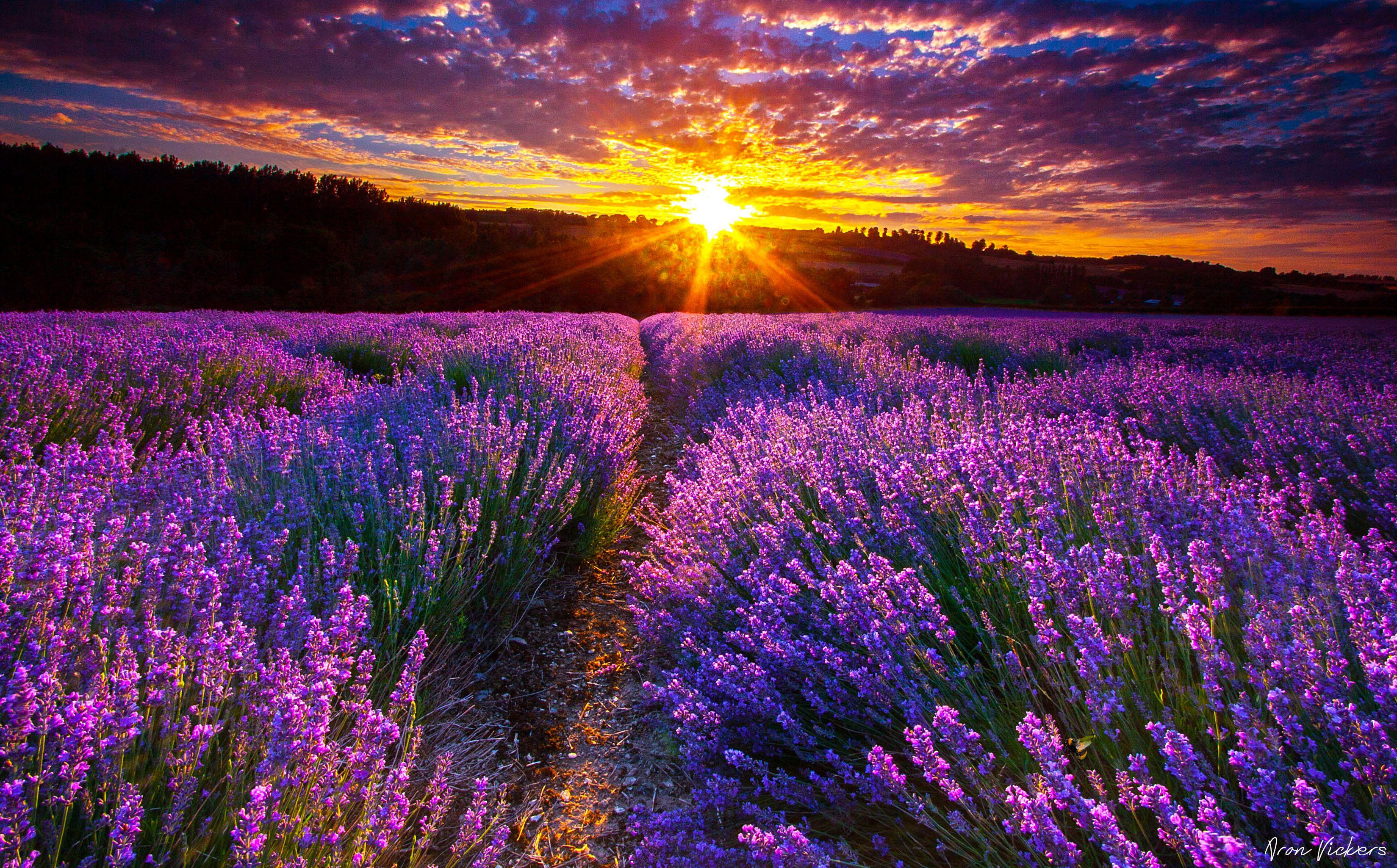 3298x2050 Provence, France place for deep and intensive retreat