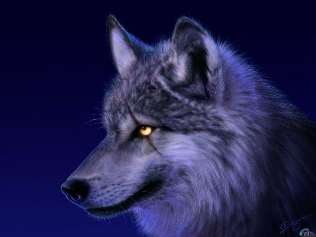 1024x768 Teddybear64 image Spirit of the wolf HD wallpaper and background