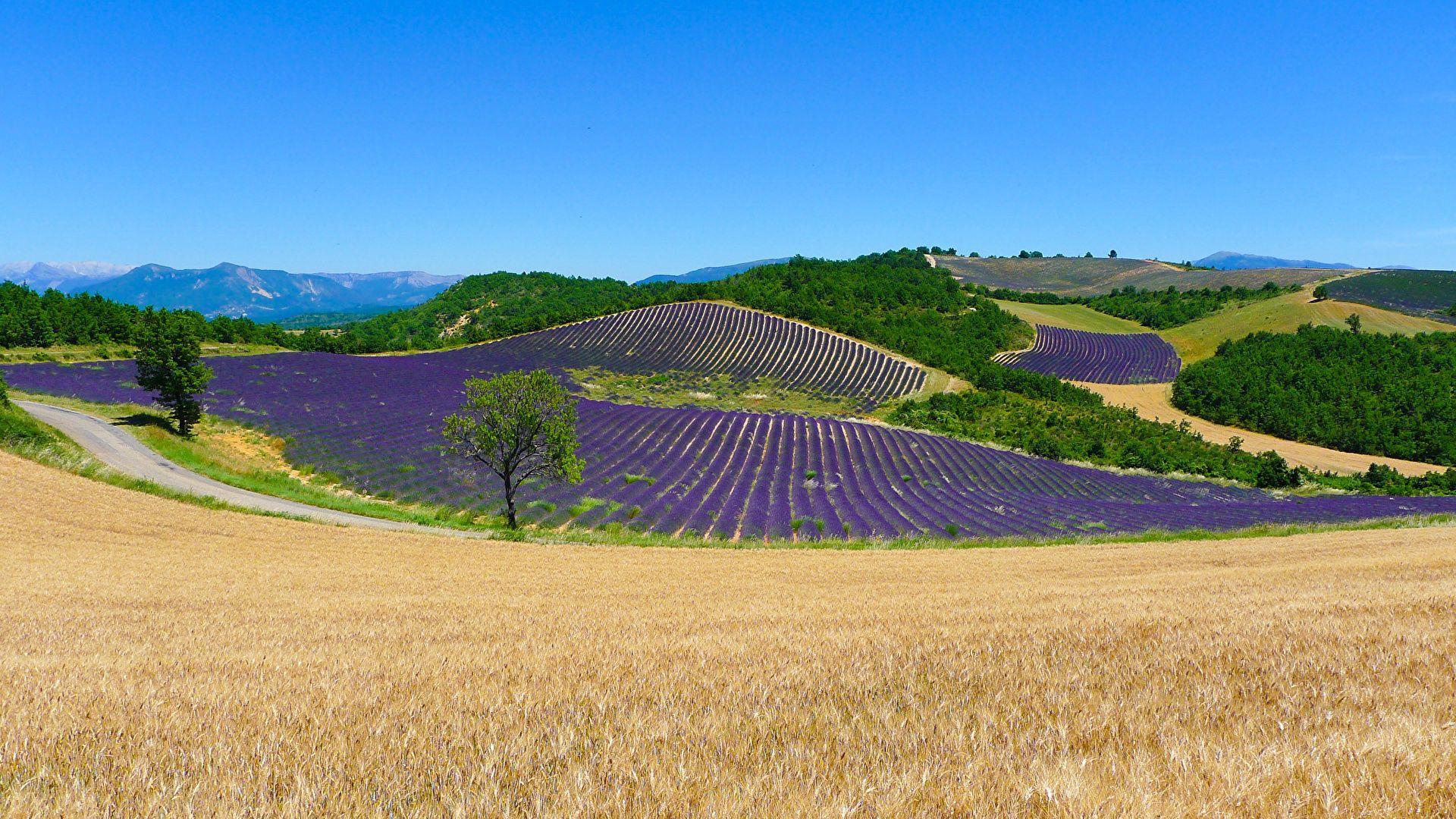 Fields France Wallpapers Top Free Fields France Backgrounds