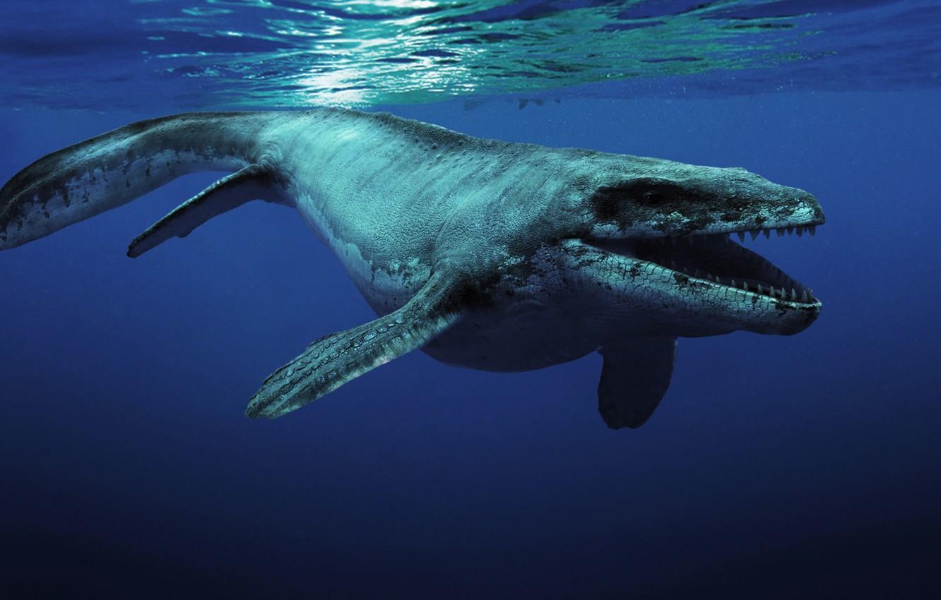 1332x850 Wallpaper ocean, creature, Kronosaurus, prehistoric animal image for desktop, section рендеринг