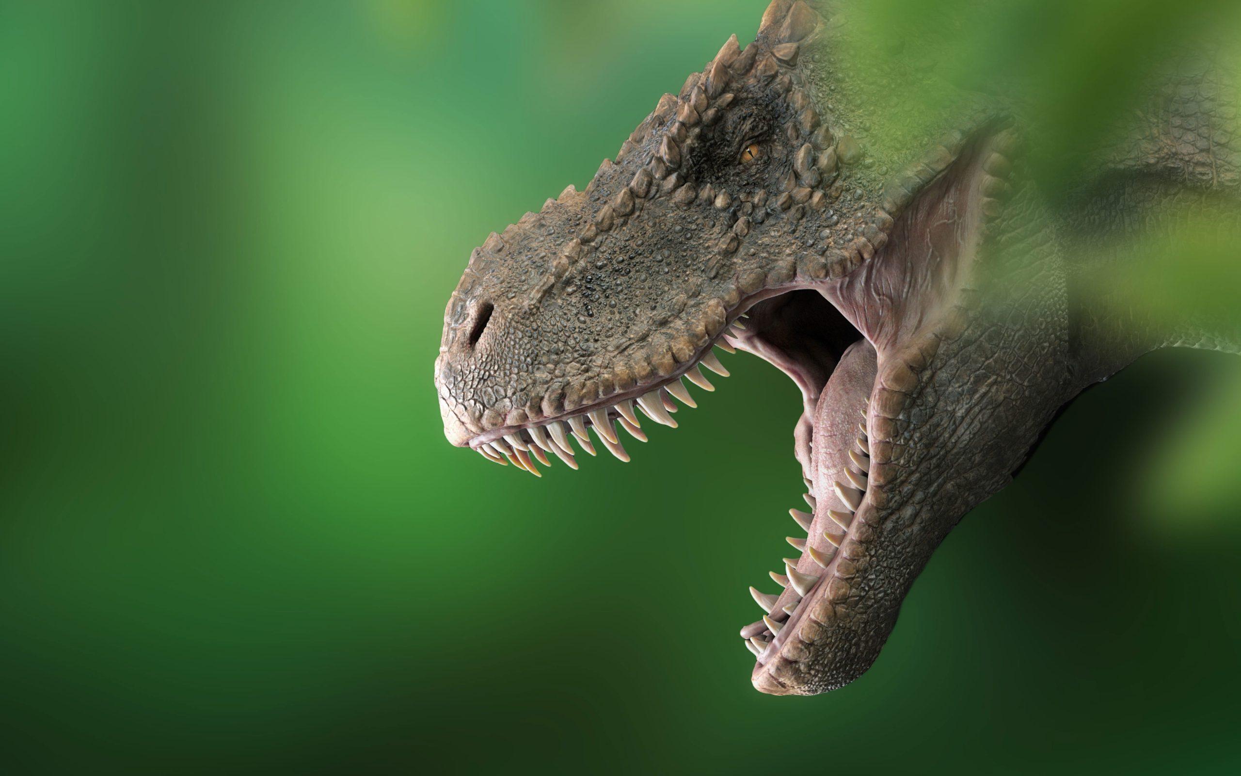 2560x1600 Wallpaper Dinosaur, Tyrannosaurus, T Rex, Prehistoric • Wallpaper For You HD Wallpaper For Desktop & Mobile