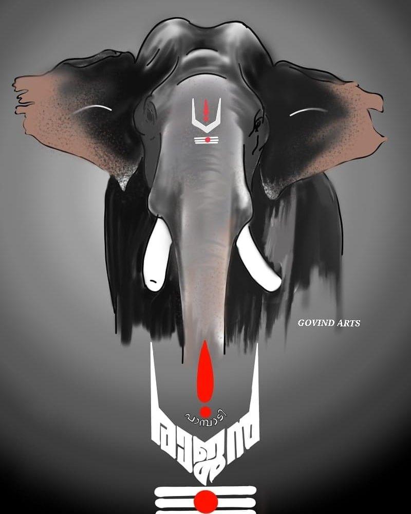 800x1000 Kerala Elephants Wallpaper