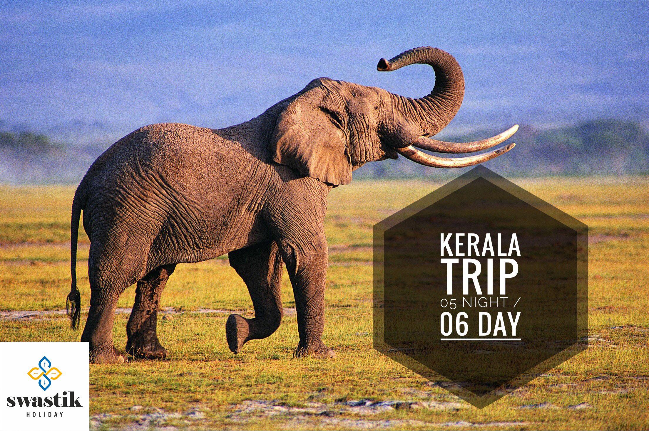 2208x1468 Kerala Elephant Names And Image