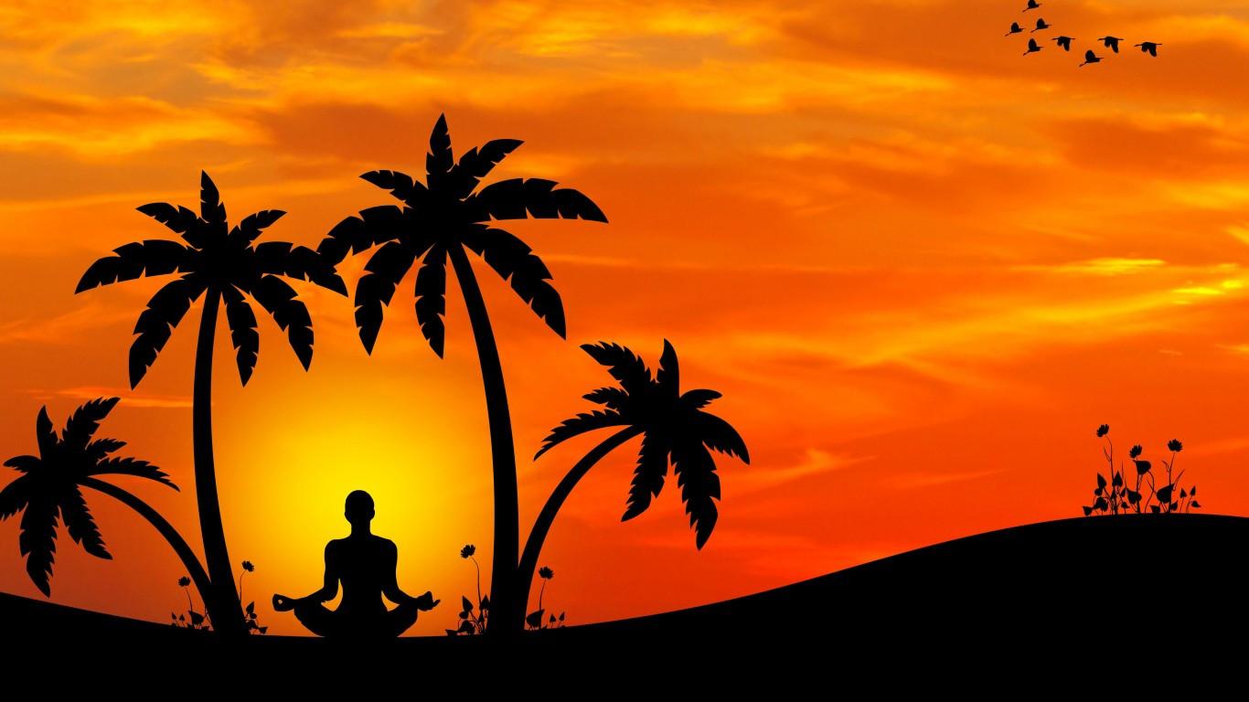 1366x768 Download 1366x768 Yoga, Palm Trees, Back View, Meditation, Sunset, Minimal Design Wallpaper for Laptop, Notebook