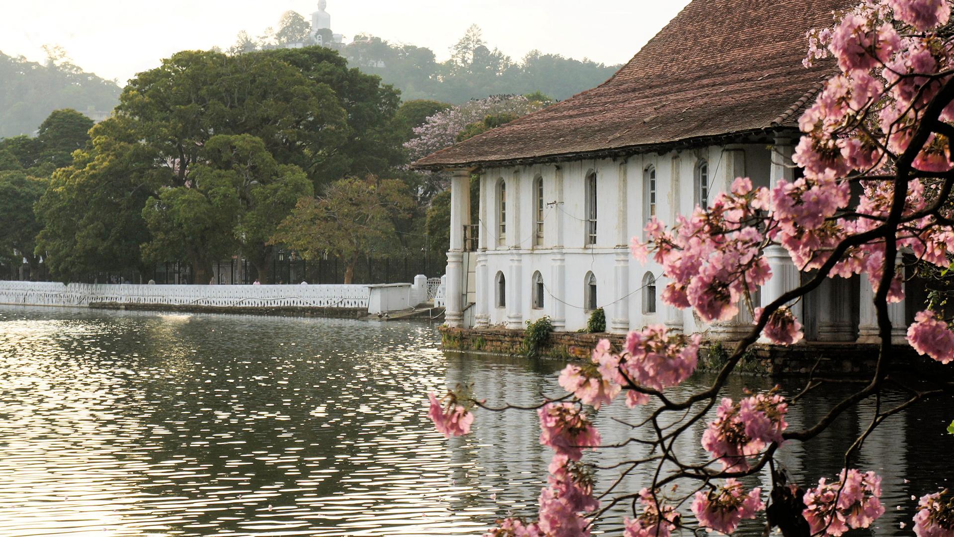 Kandy Sri Lanka Wallpapers Top Free Kandy Sri Lanka Backgrounds   7397533 