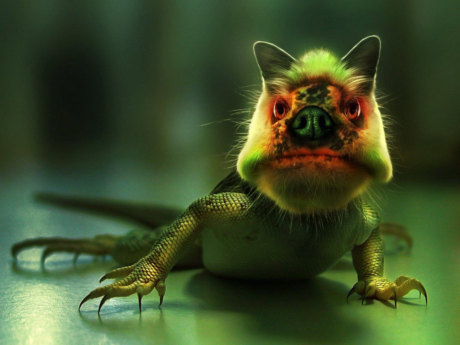 1600x1200 Ugly Animals Wallpaper