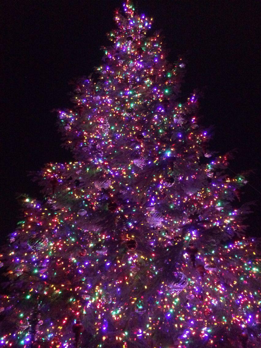 852x1136 Such a gorgeous tree!. Christmas note, Merry christmas wallpaper, Christmas charms