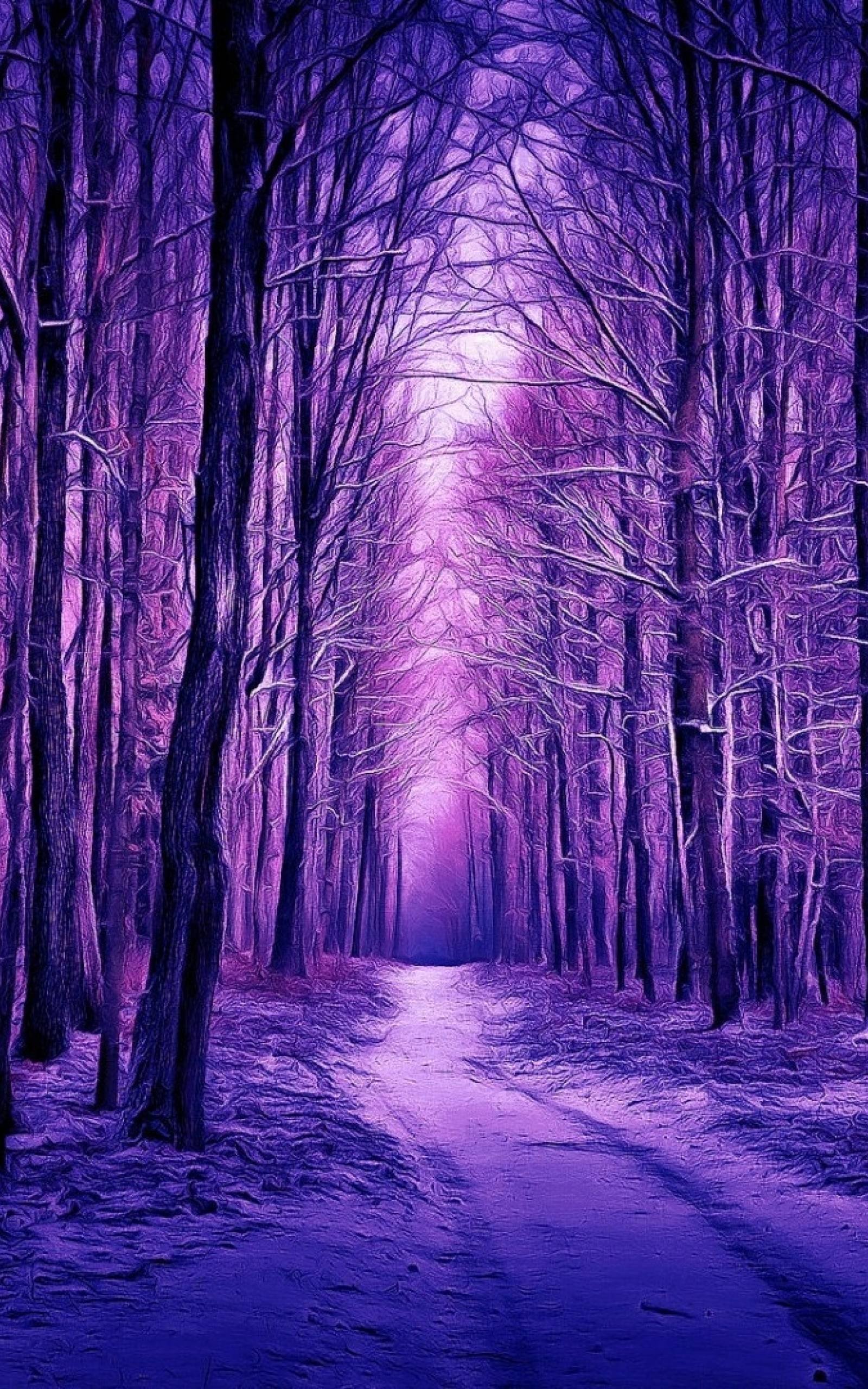 1600x2560 Purple Winter Forest 1600x2560 Resolution Wallpaper, HD Nature 4K Wallpaper, Image, Photo and Background