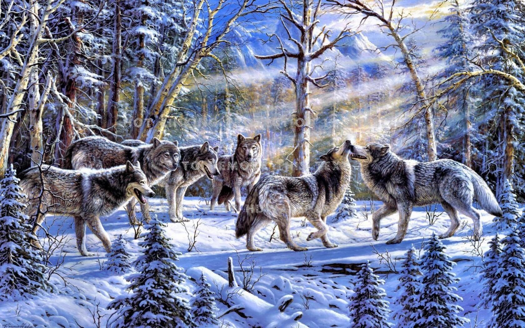 1680x1050 wolves forest art snow blue wolf tree