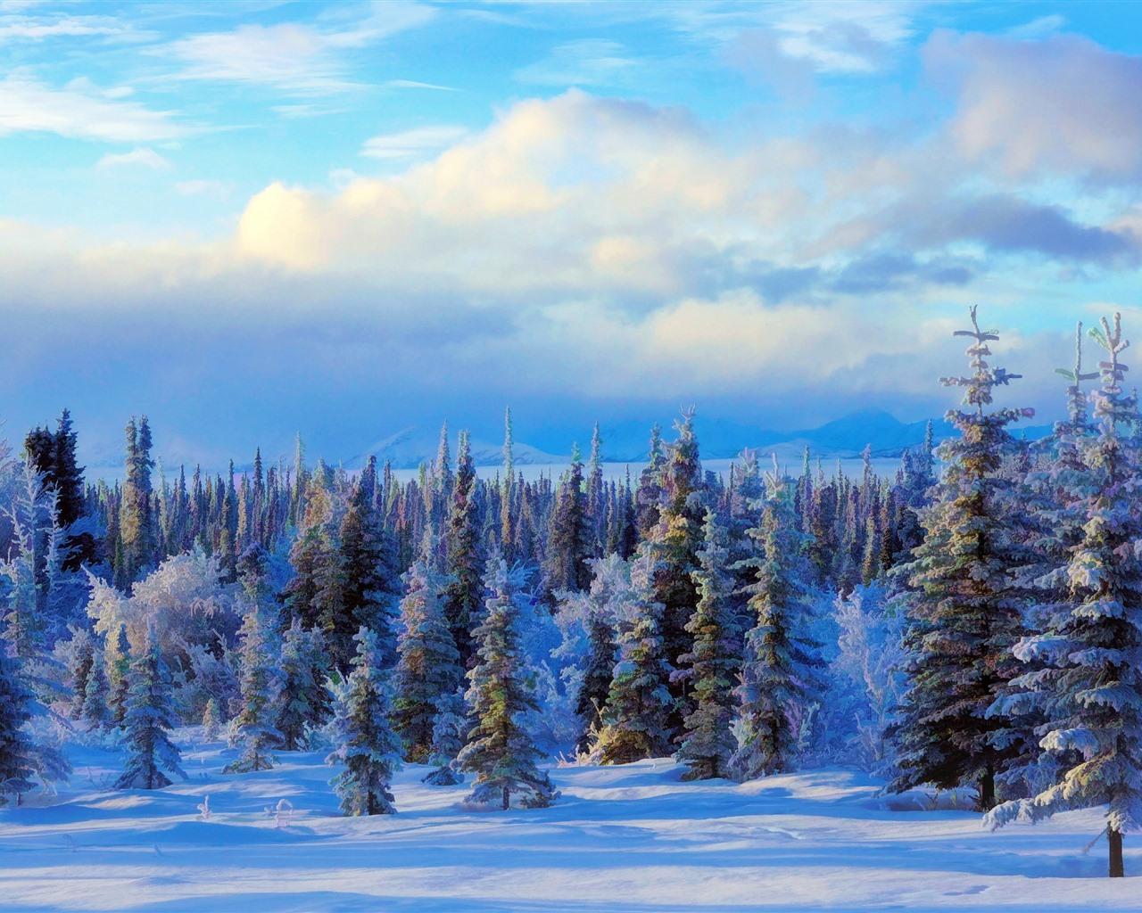 Snow Forest Art Wallpapers - Top Free Snow Forest Art Backgrounds