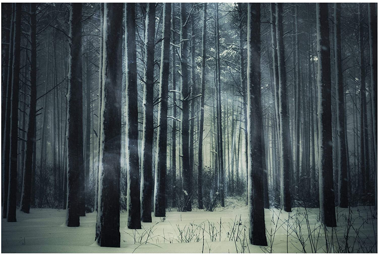 1500x1008 Non Woven Wallpaper Mystic Winter Forest Wide, 114.2 X 170.1 Inches