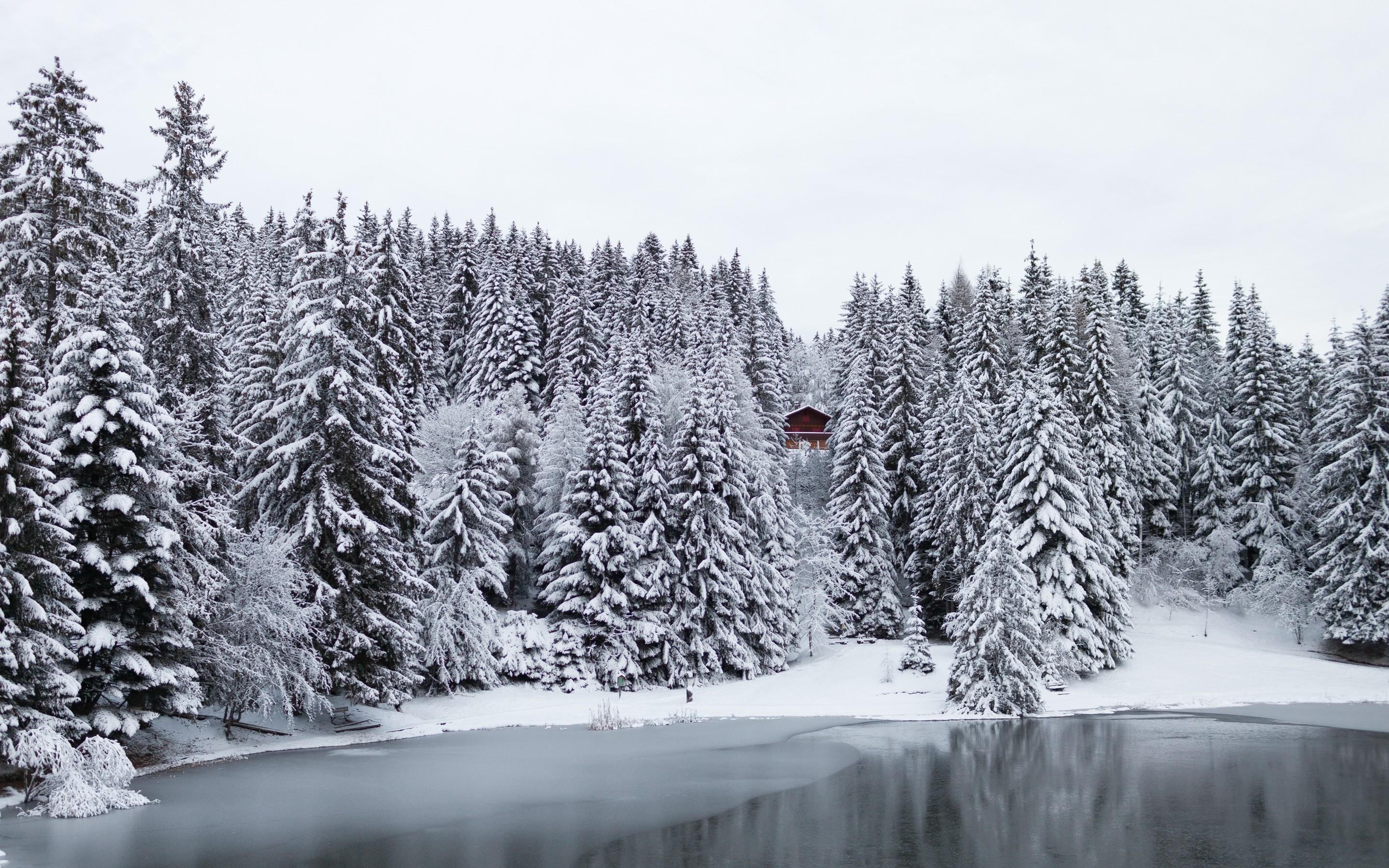 2880x1800 nature snow forest cabin frozen lake pine tree 2880x1800 wallpaper