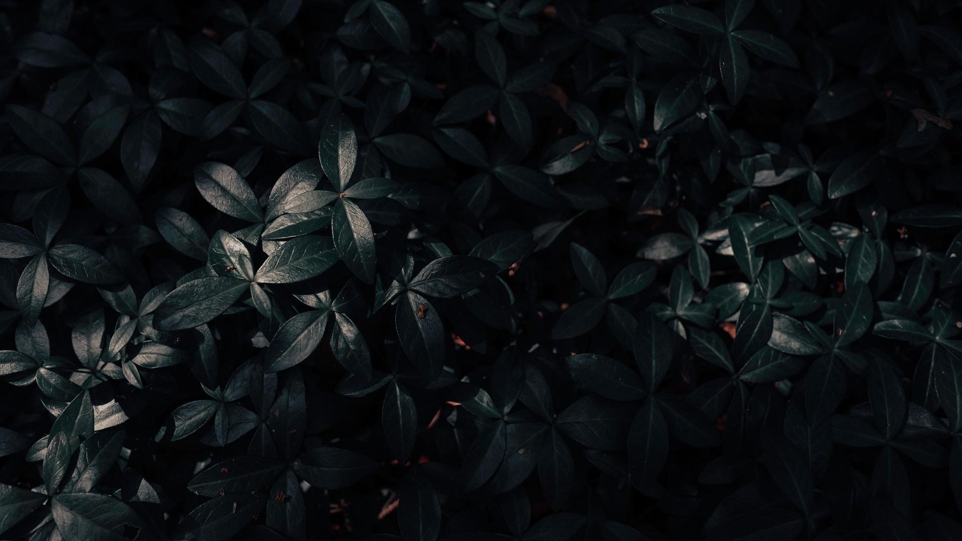 1920x1080 Dark Aesthetic Background Wallpaper HD Live Wallpaper HD