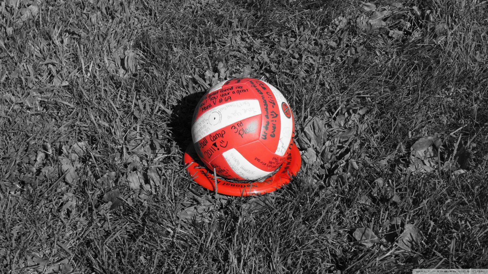Volleyball Wallpaper Images  Free Download on Freepik