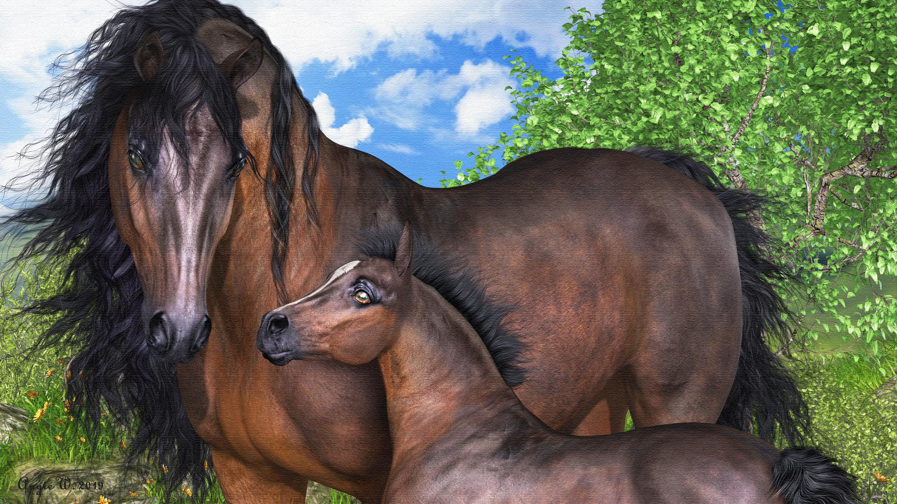 2880x1620 equine HD wallpaper, background
