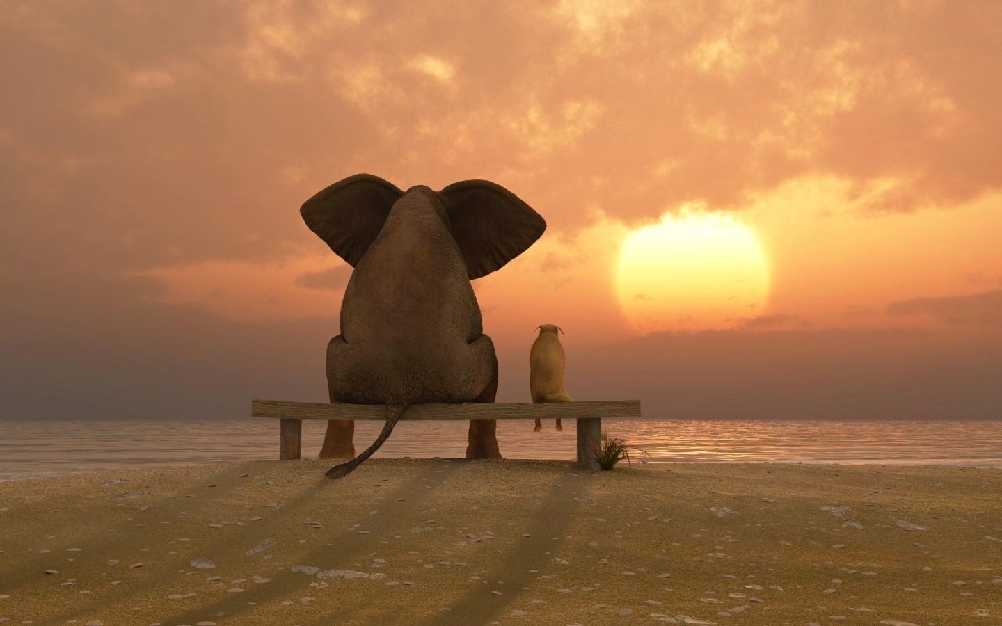 1440x900 Funny Friends Beach Elephant Dog Sunset HD Wallpaper. Free Image clip art online, royalty free & public domain