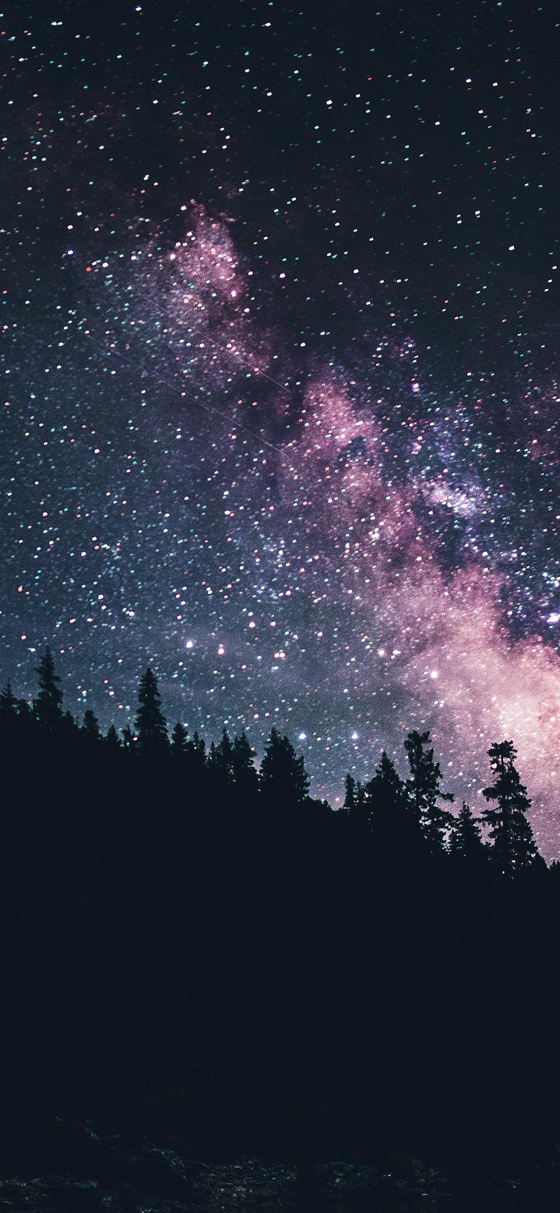 1125x2436 iPhone X wallpaper. night sky dark green space milkyway star nature