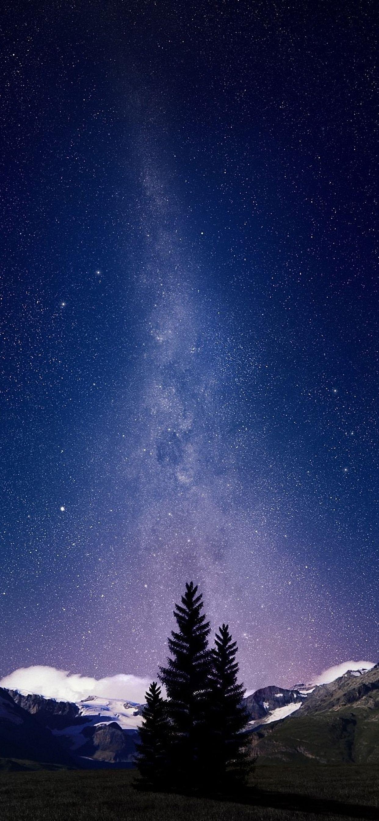 1242x2688 Beautiful iphone wallpaper. Wallpaperize iPhone Wallpaper. iPhone wallpaper sky, iPhone wallpaper photography, Tree wallpaper iphone