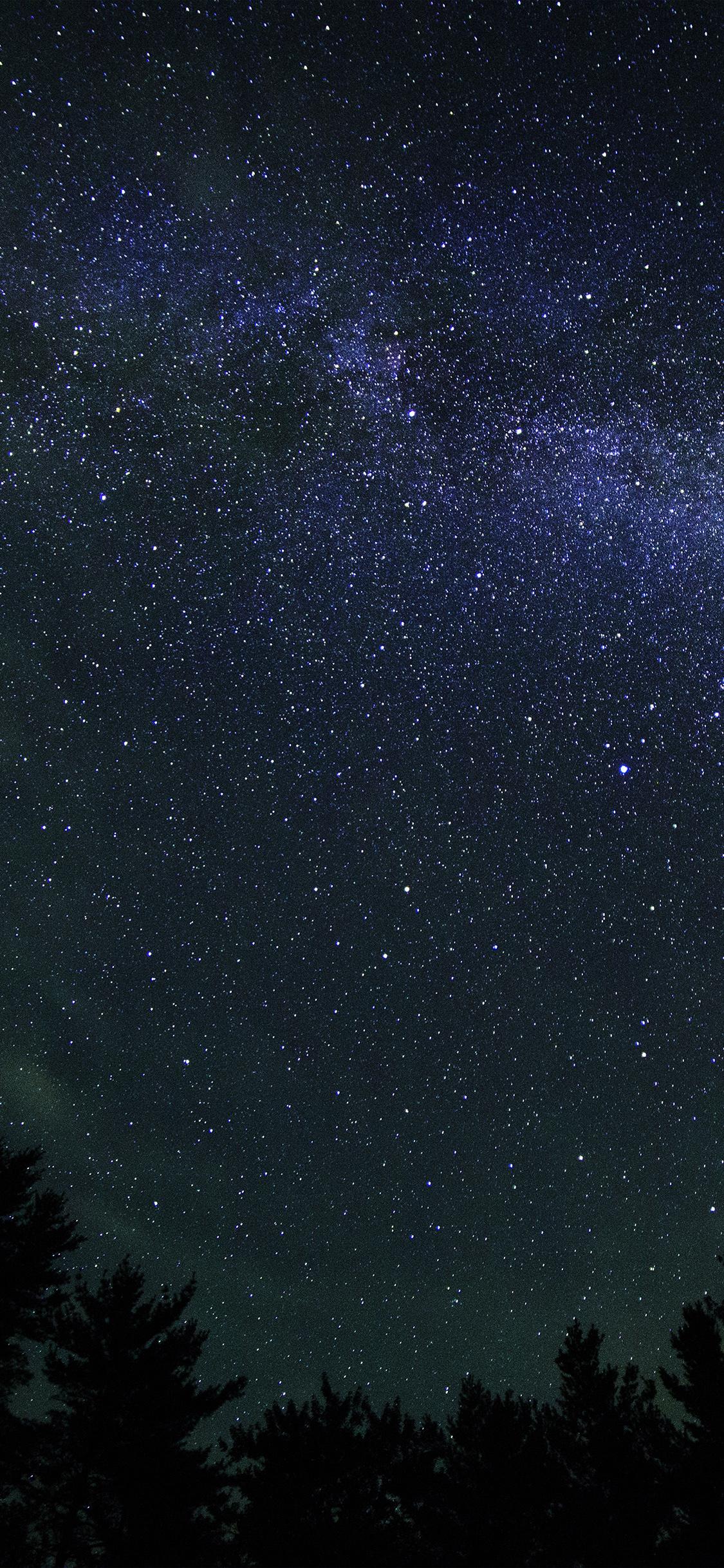 1125x2436 Nature, milkyway, space iphone wallpaper