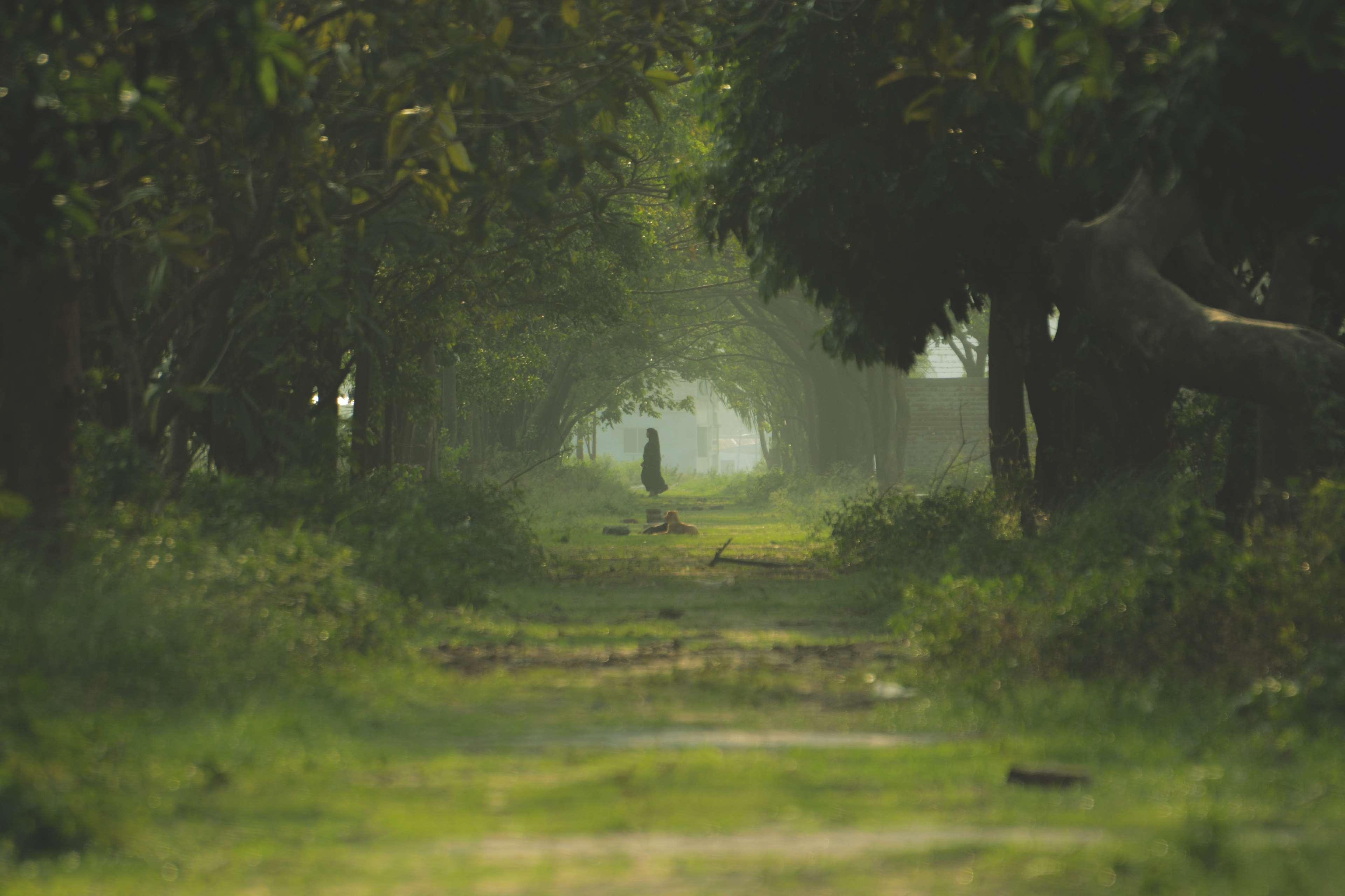 3840x2560 dark green, ghost, green, lady, lonely, nature, one way, road, village 4k wallpaper