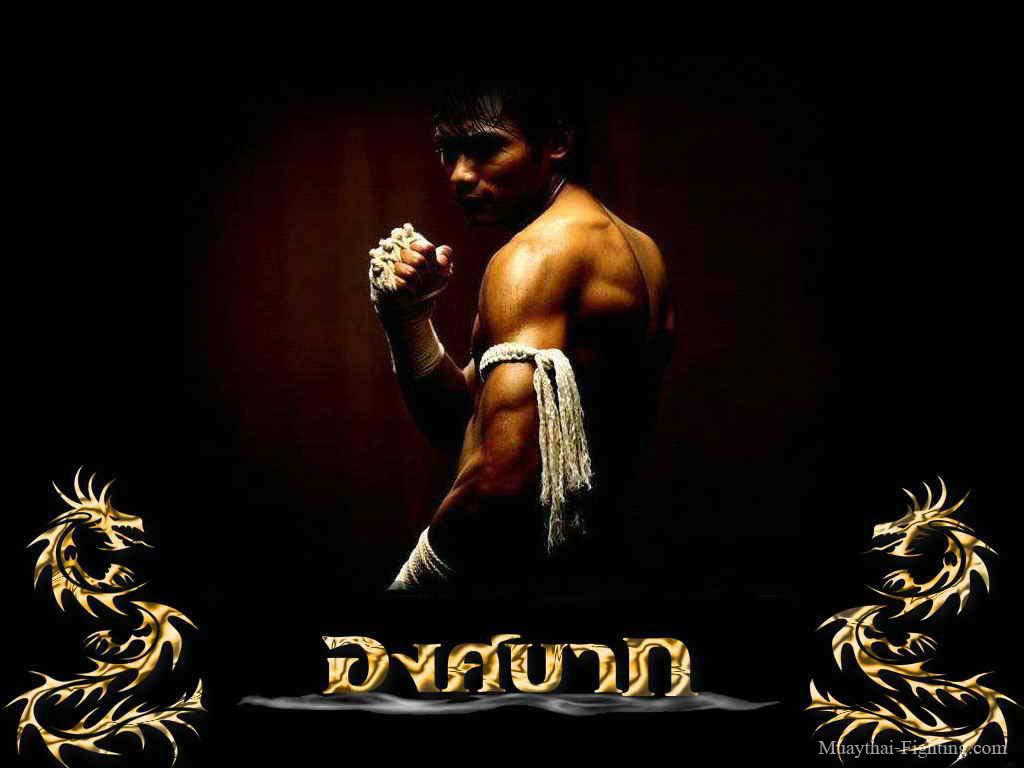 1024x768 Muay Thai Wallpaper styles of Thai Boxing Wallpaper