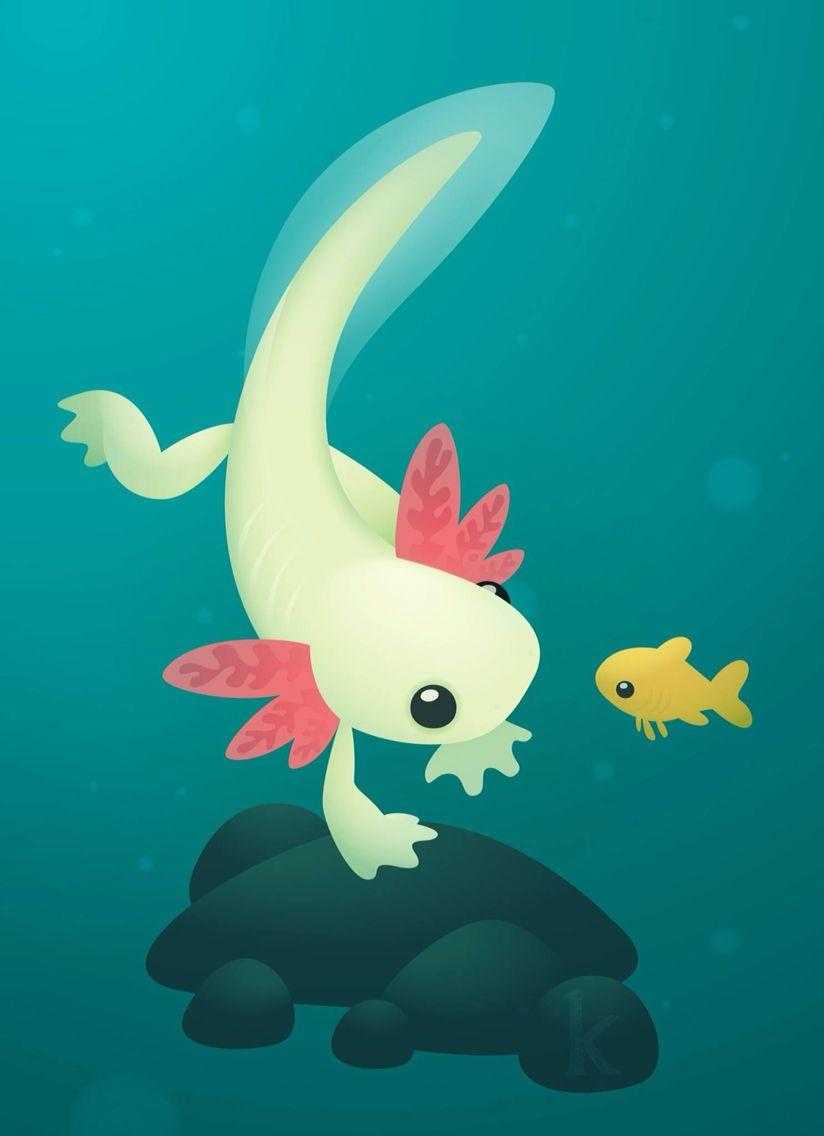 824x1136 Axolotl Wallpaper