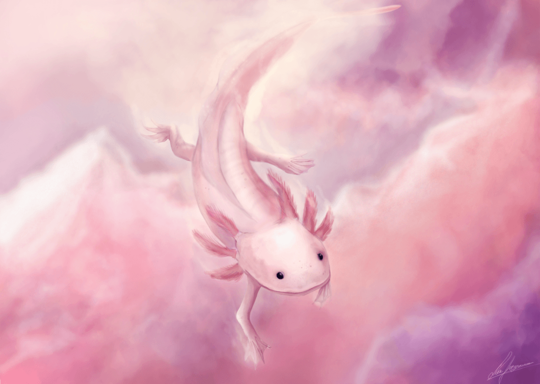 Kawaii Axolotl Wallpapers - Top Free Kawaii Axolotl Backgrounds ...