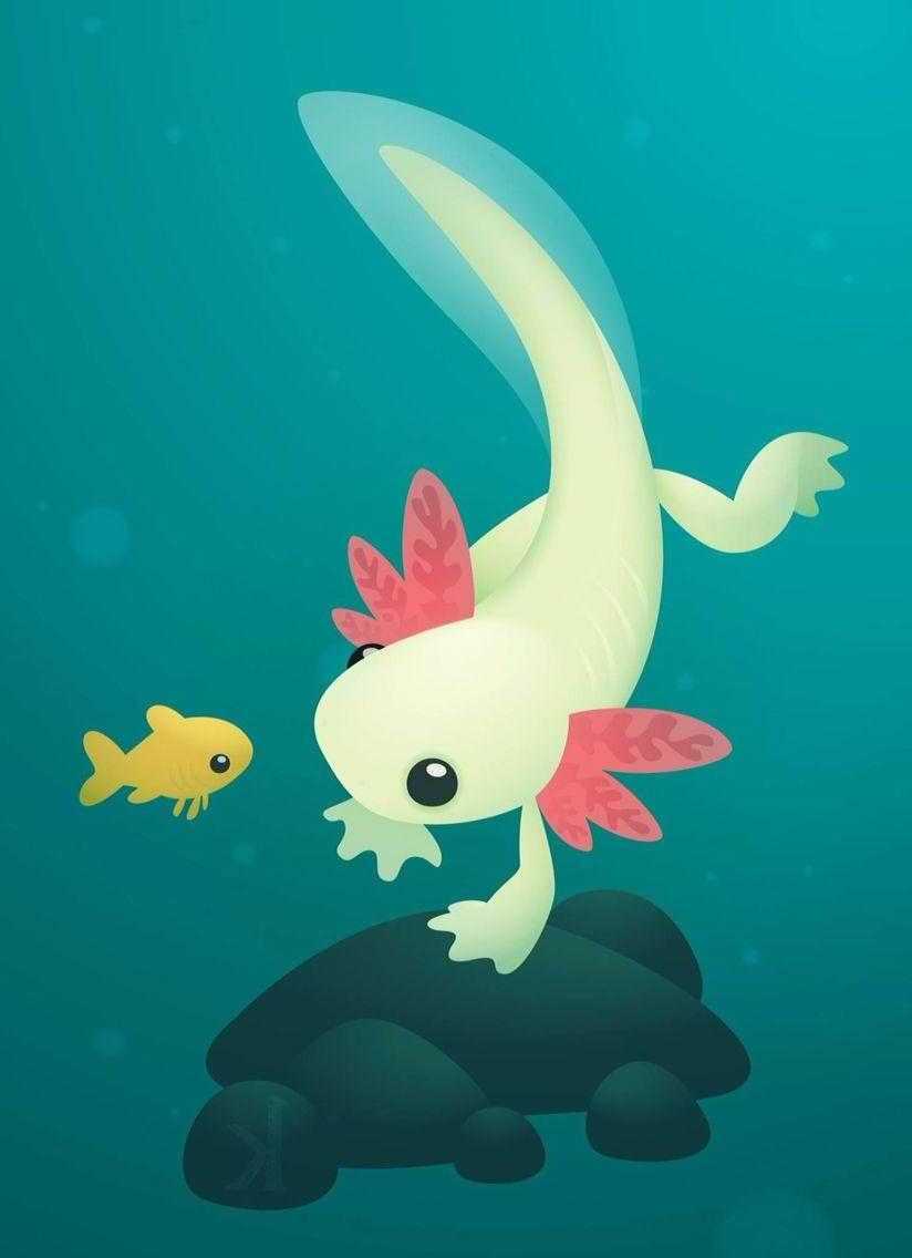 824x1136 Axolotl Wallpaper