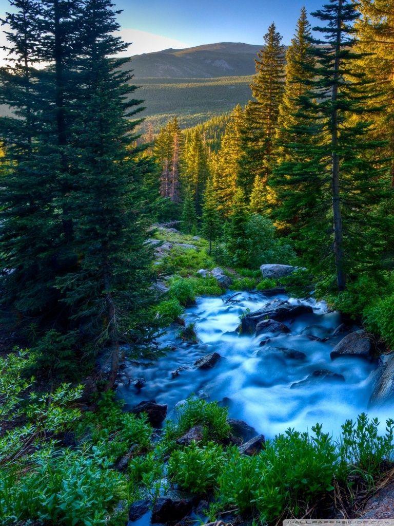 768x1024 Nature Phone Wallpaper, HD Nature Phone Background