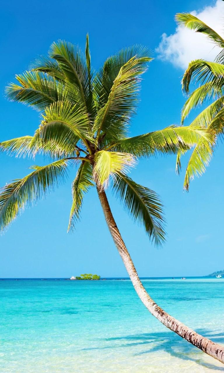 768x1280 Nature 4k Ultra HD Wallpaper 4k Wallpaper.Net Desktop Background