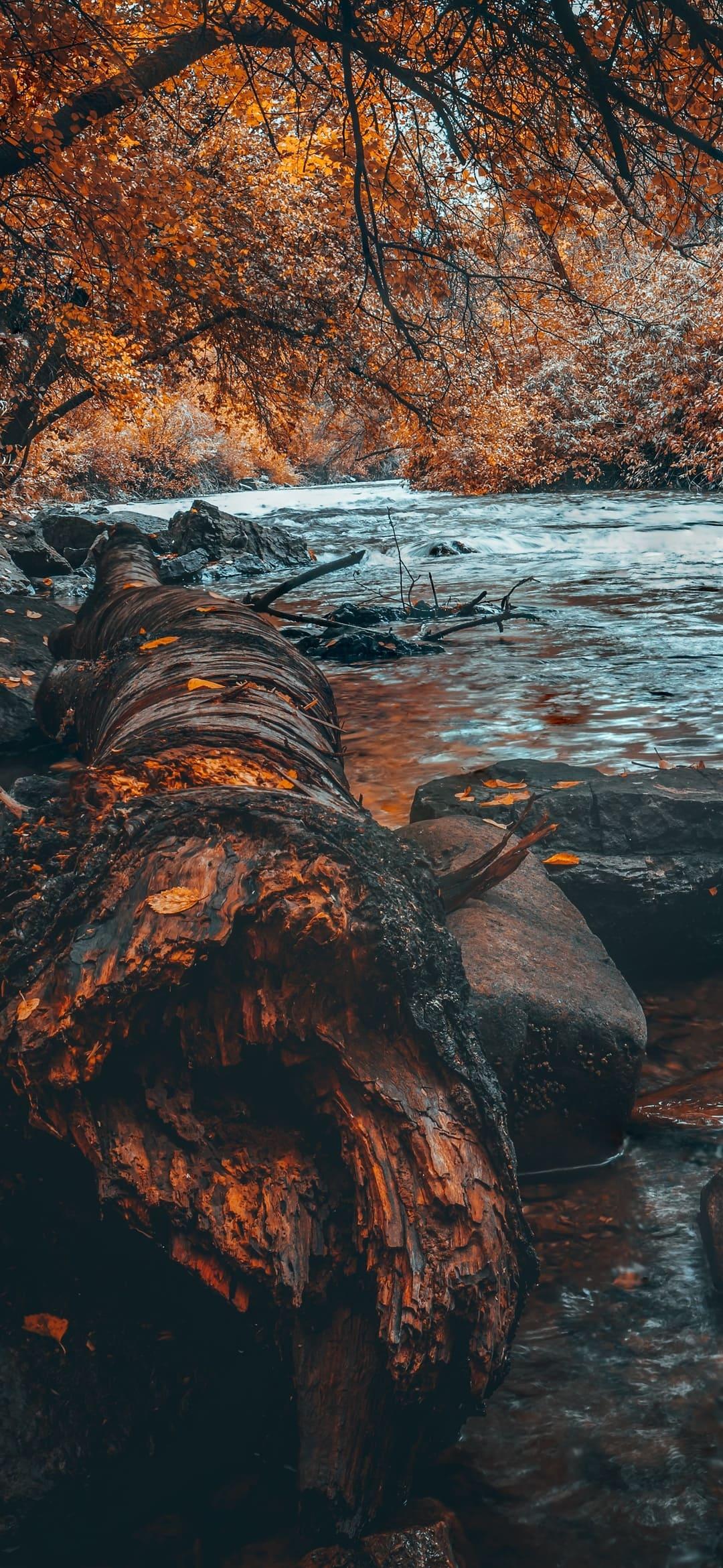 4k Nature Phone Wallpapers Top Free 4k Nature Phone Backgrounds