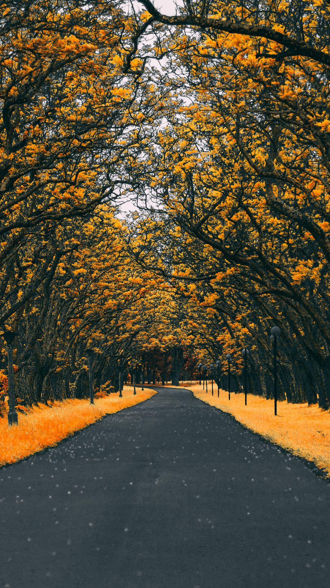 1080x1920 Android 4k Mobile Wallpaper