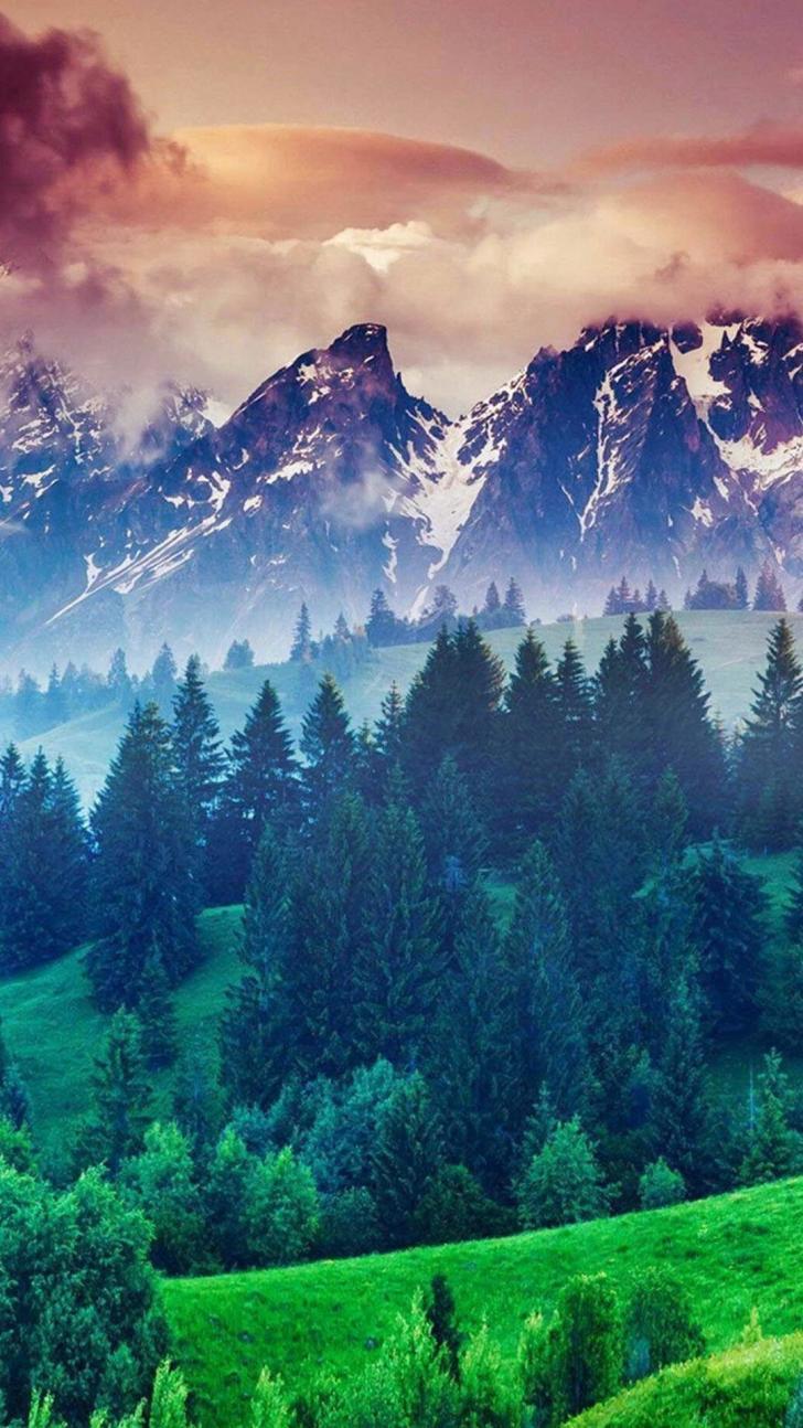728x1294 Wallpaper HD: Best, Mobile, Wallpaper, Best, Nature, Wallpaper, In, 4k, And, Full, Hd, For, Desktop