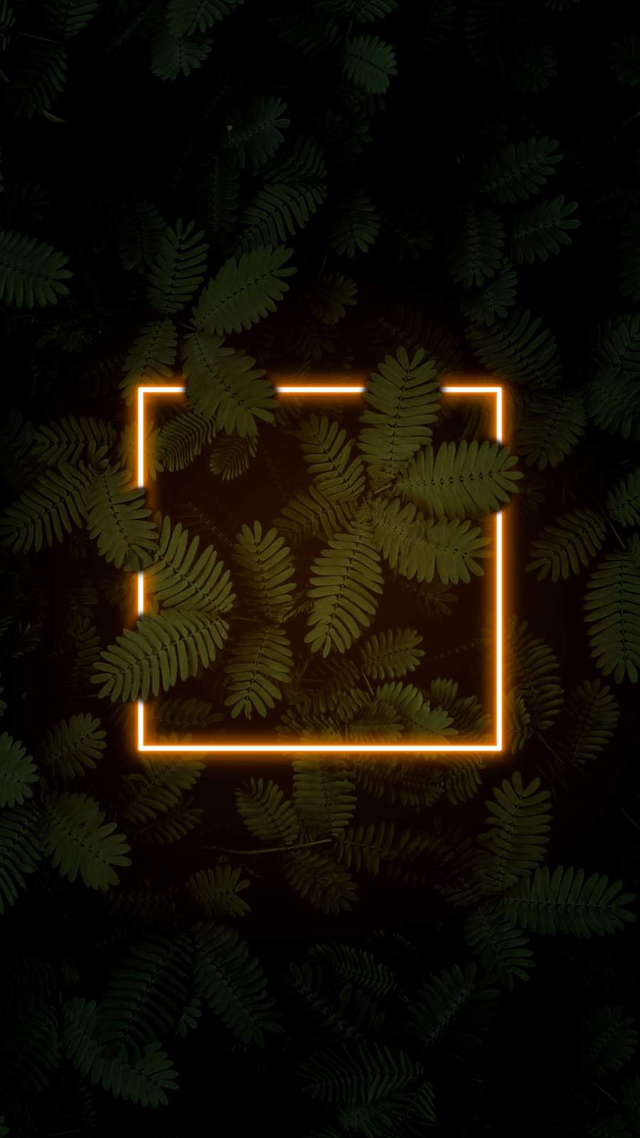 900x1600 Neon Dark Nature tree Ultra HD Mobile Wallpaper