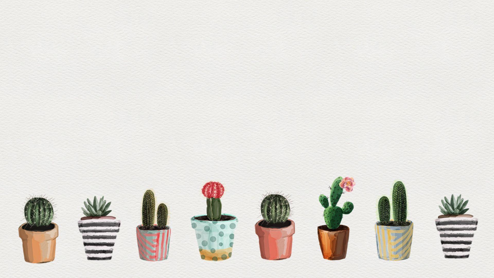 Cactus wallpaper Vectors  Illustrations for Free Download  Freepik