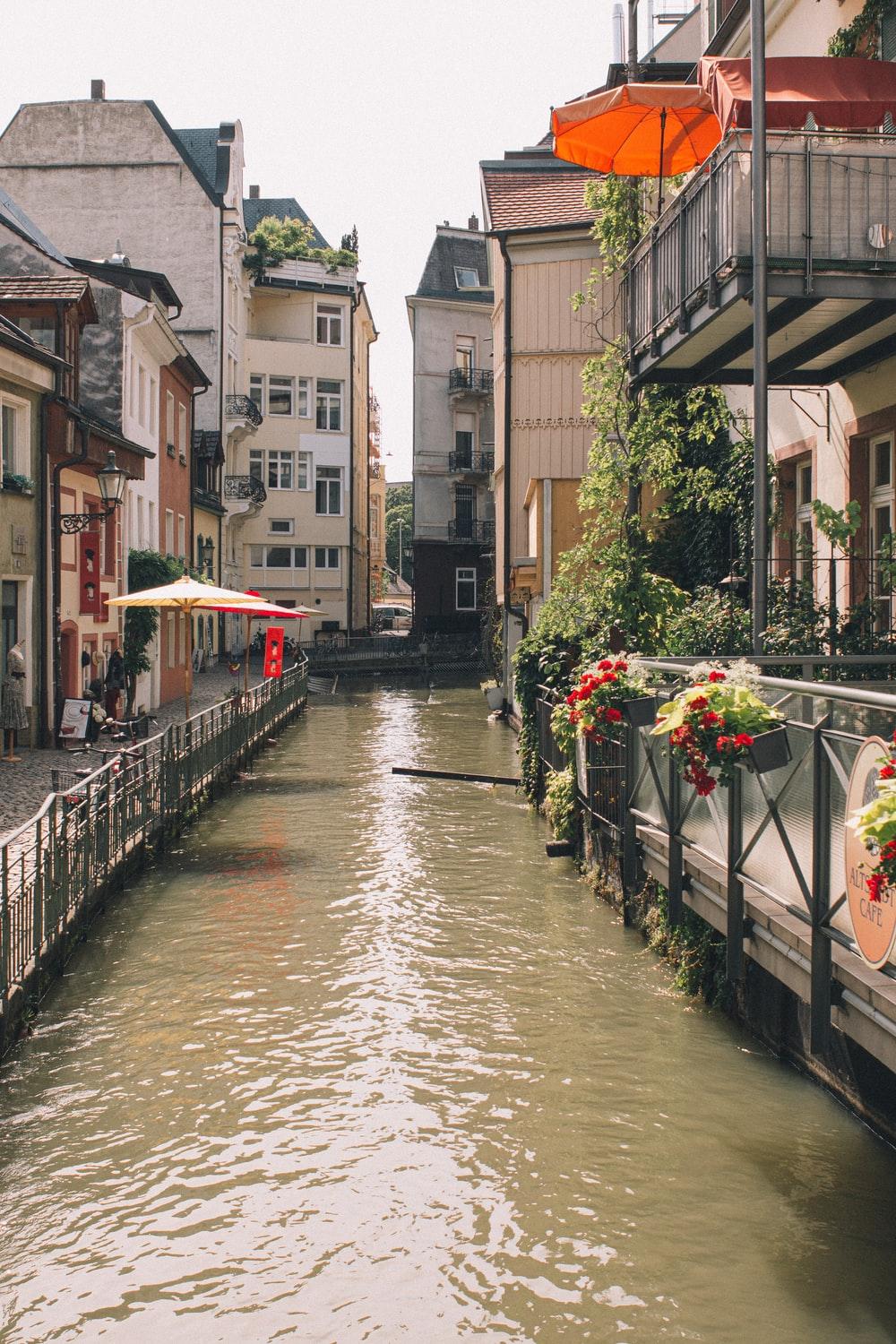 1000x1500 Freiburg Picture. Download Free Image