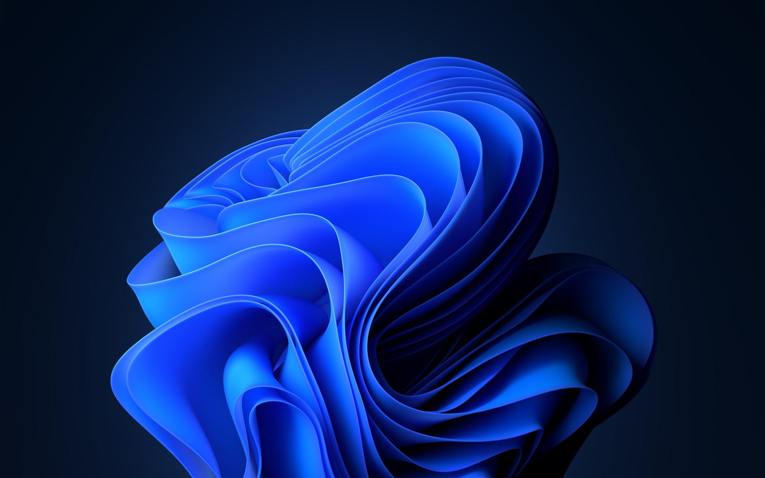 2560x1600 Windows 11 Dark (2560x1600)