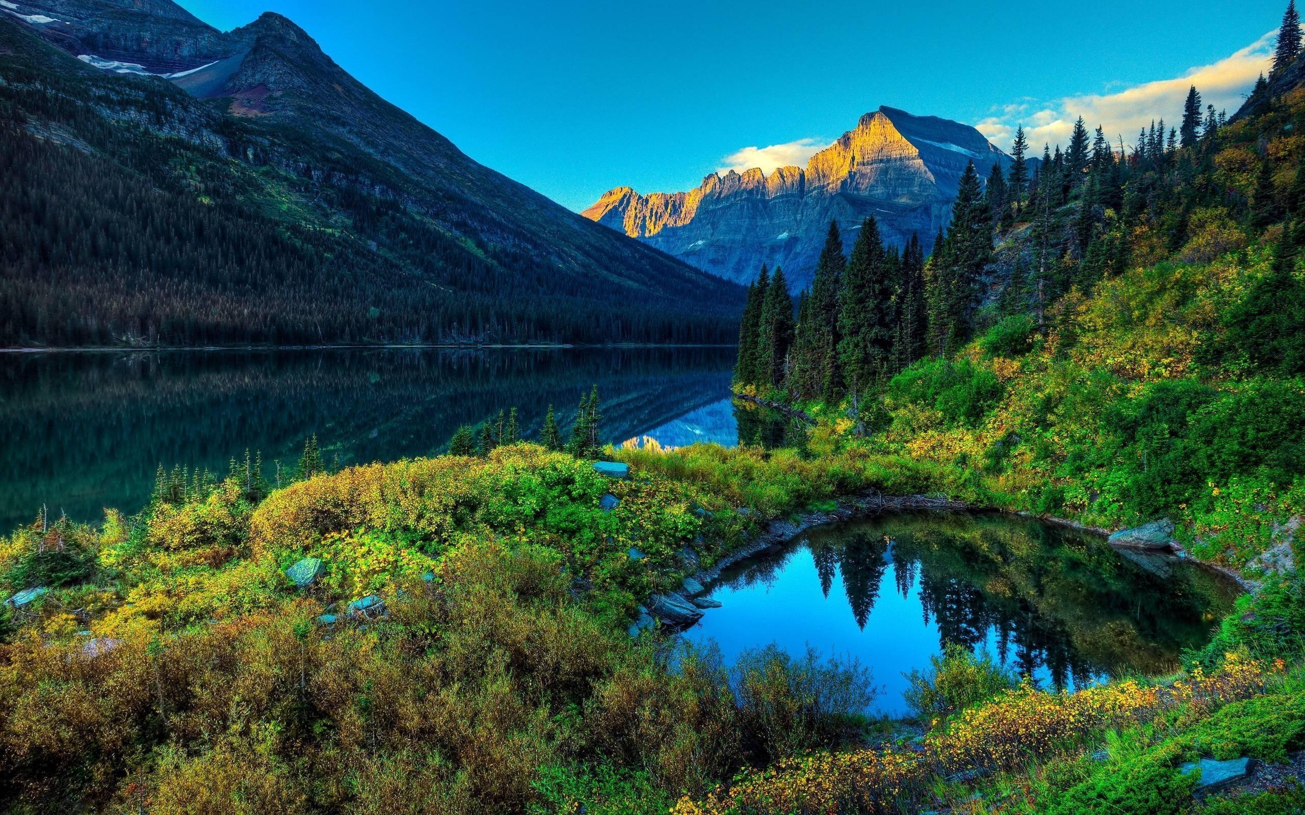 2560x1600 Spring Nature Wallpaper 2560x1600 56999